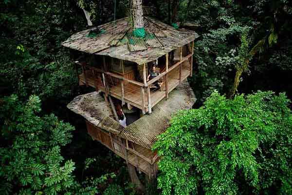 amazing-treehouses3