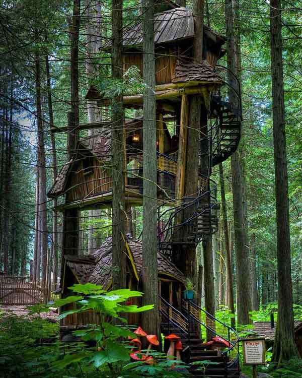 amazing-treehouses7