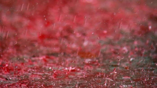mysterious-place-in-red-rain-idukki