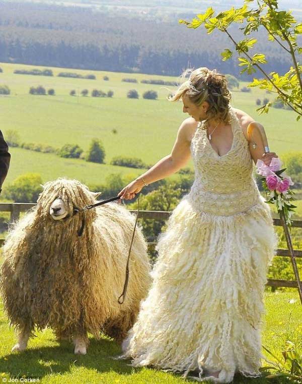 this-is-sheep-stuff-or-wedding-stuff