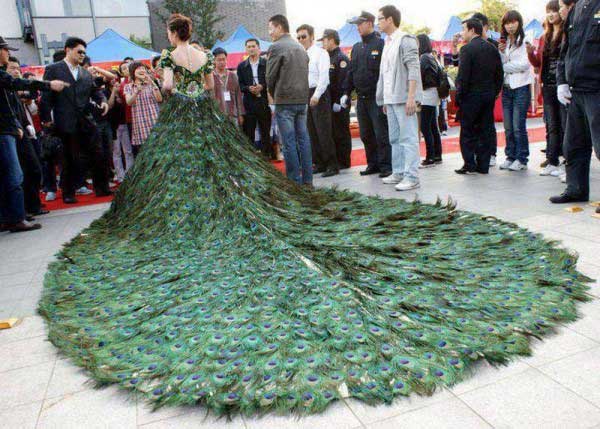 wedding-dress-peacock-feather