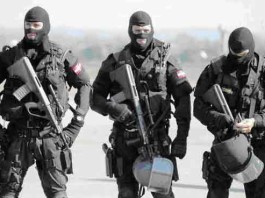 eko_cobra_operators
