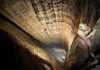 krubera-cave