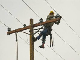 electric-lineman