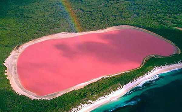 pink-lake-australia