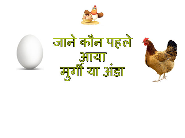पहले मुर्गी या अंडा, हिंदी में पहला सही जवाब यहाँ है!! - Interesting