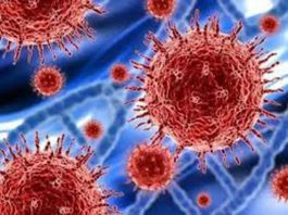 JN.1 Covid new variant