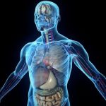 Our body unique machine, know how