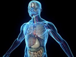 Our body unique machine, know how