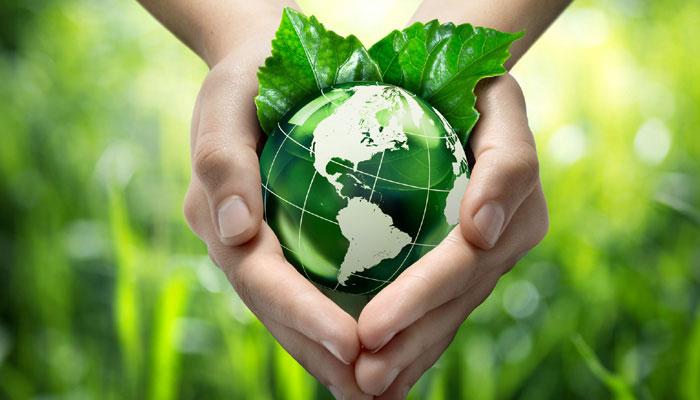 essay on save environment for future generations in hindi