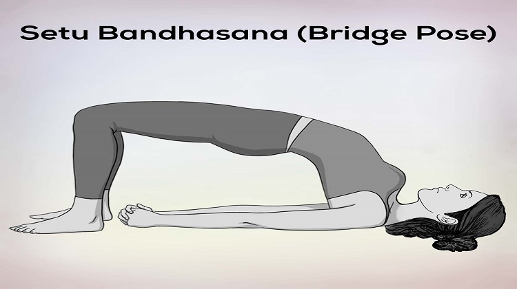 How to do the Bridge Pose: Steps and Benefits of Setu Bandhasana - NDTV Food