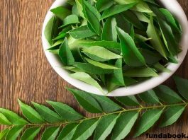 There are many miraculous benefits of curry leaves, know how
