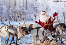 interesting facts related to Santa's ride Reindeer
