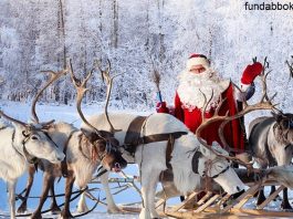 interesting facts related to Santa's ride Reindeer