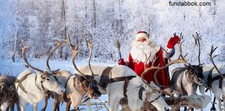 interesting facts related to Santa's ride Reindeer