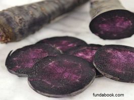 miraculous benefits eating black carrots