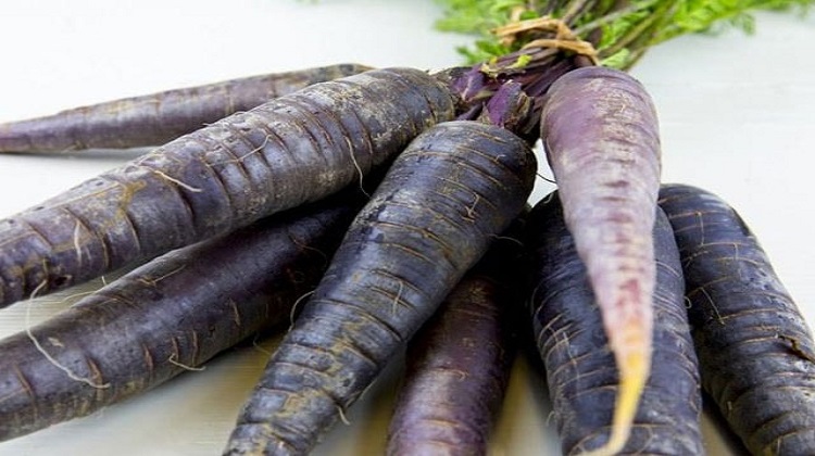 miraculous benefits eating black carrots