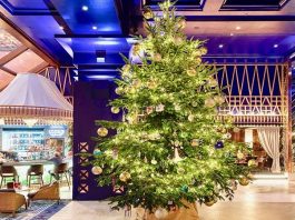 most expensive christmas tree