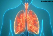 ways to keep the lungs healthy