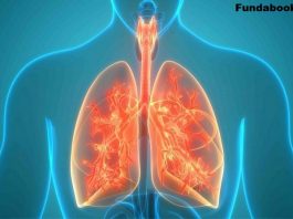 ways to keep the lungs healthy