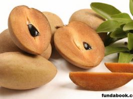 10 amazing benefits of chikoo