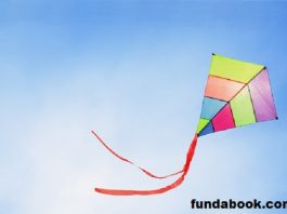 Know who flew first kite
