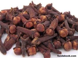 miraculous tricks of cloves, by which positivity remains in life