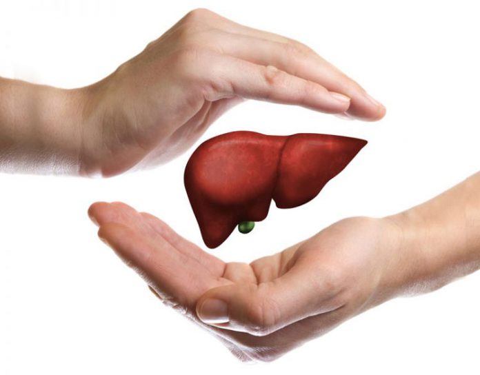 healthy-liver