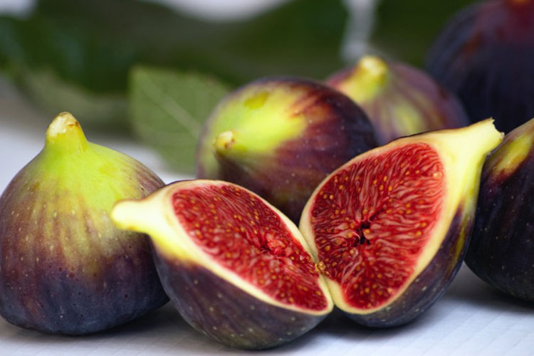 Fig health benefits