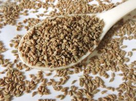 benefits, disadvantages and uses of celery