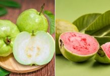 White-and-pink-guava-which-one-is-more-healthy1