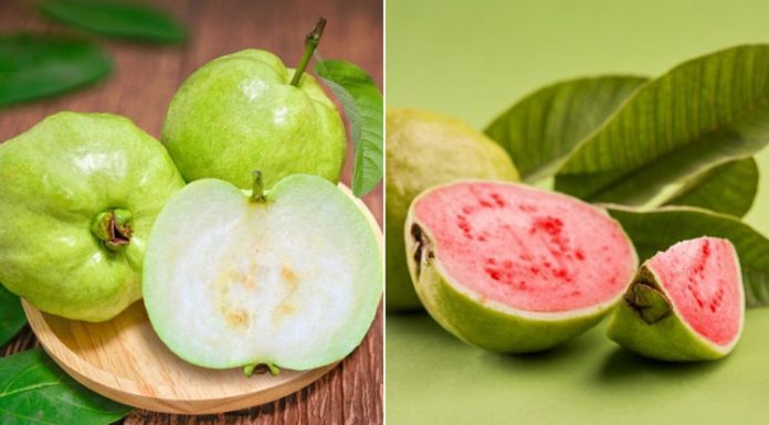 White-and-pink-guava-which-one-is-more-healthy1