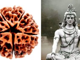 miraculous benefits of wearing Panchmukhi Rudraksha