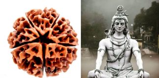 miraculous benefits of wearing Panchmukhi Rudraksha