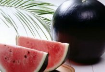 black-watermelon