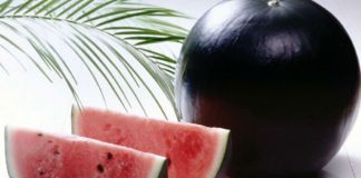 black-watermelon