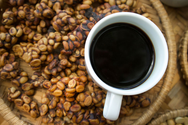 kopi-luwak-coffee